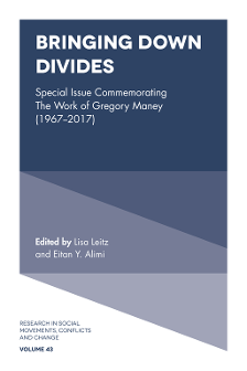 Cover of Bringing Down Divides