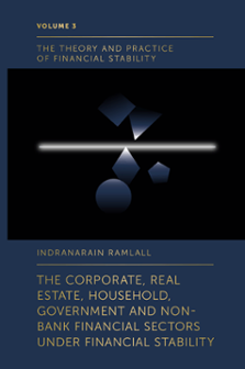 Cover of The Corporate, Real Estate, Household, Government and Non-Bank Financial Sectors Under Financial Stability