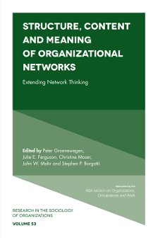 Cover of Structure, Content and Meaning of Organizational Networks