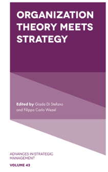 Cover of Organization Theory Meets Strategy