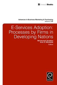 Cover of E-services Adoption: Processes by Firms in Developing Nations