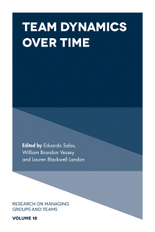 Cover of Team Dynamics Over Time