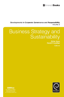 Cover of Business Strategy and Sustainability
