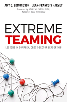 Cover of Extreme Teaming