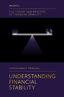 Cover of Understanding Financial Stability