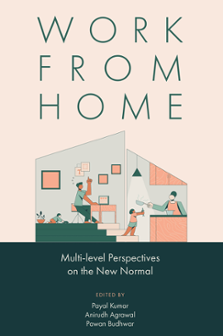 Cover of Work from Home: Multi-level Perspectives on the New Normal