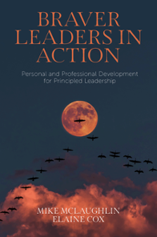 Cover of Braver Leaders in Action