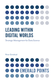 Cover of Leading within Digital Worlds