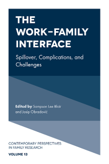 Cover of The Work-Family Interface: Spillover, Complications, and Challenges