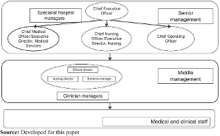Figure 2 
               Medical managers in senior and middle management
            